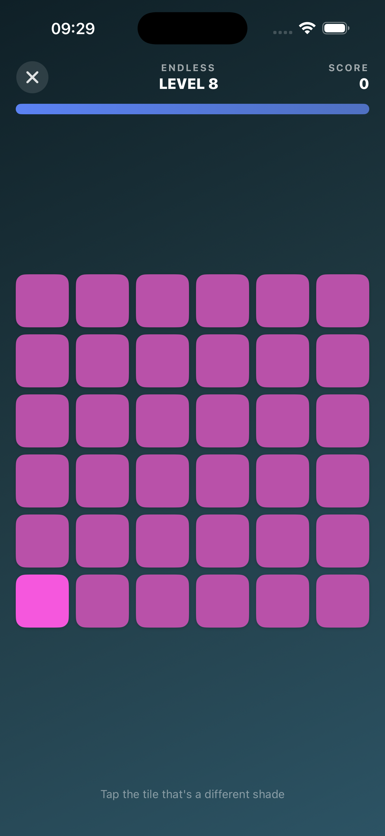 Vision Test color grid